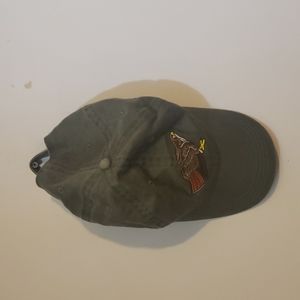 ECO reptileshirts.com Embroidered Hawk Baseball Hat